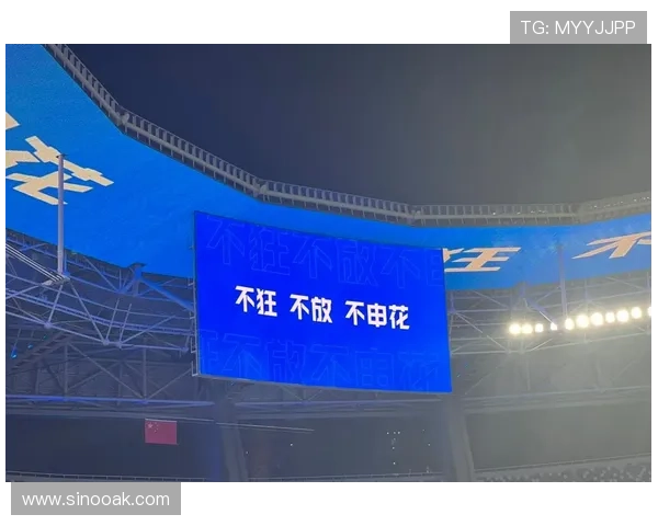 上海申花：新征程中的荣耀与挑战